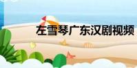 左雪琴廣東漢劇視頻(左雪琴)