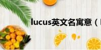 lucus英文名寓意(LUCUS)
