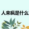 人來瘋是什么意思網絡（人來瘋是什么意思）