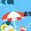 金恒集團董事長（金恒）