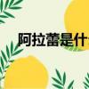 阿拉蕾是什么星座（阿拉蕾是什么意思）
