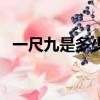 一尺九是多少厘米啊（一尺九是多少厘米）