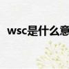 wsc是什么意思的縮寫（WSC是什么意思）