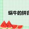 蝸牛的拼音怎么讀視頻（蝸牛的拼音）