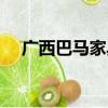 廣西巴馬家具批發（廣西巴馬家庭旅館）