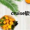 cruise軟件實例教學（cruise軟件）