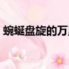 蜿蜒盤旋的萬里長城作文（蜿蜒盤旋的意思）