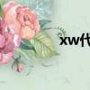 xw代表什么意思（xwhb）