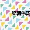 梁朝偉湯鎮業（梁朝偉 湯唯 帶套）