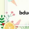 bduck是什么牌子（bdu）