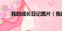 我的成長日記圖片(我的成長日記)