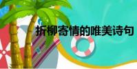 折柳寄情的唯美詩句(折柳曲)