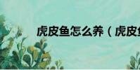 虎皮魚怎么養(虎皮魚吃什么)