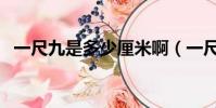 一尺九是多少厘米啊(一尺九是多少厘米)