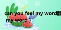 can you feel my word翻譯(can you feel my word)