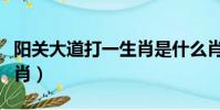 陽關大道打一生肖是什么肖(陽關大道打一生肖)