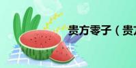 貴方零子(貴方)