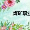 煤礦職業病一覽表（煤礦職業病）