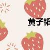 黃子韜的黑白波浪是開幕舞臺