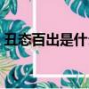 丑態百出是什么短語（丑態百出是什么生肖）