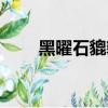 黑曜石貔貅手鏈圖（黑曜石毀滅者）