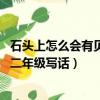 石頭上怎么會有貝殼呢二年級仿寫（石頭上怎么會有貝殼呢 二年級寫話）