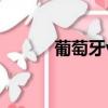 葡萄牙vs巴西（葡萄牙vs朝鮮）