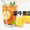 蒙牛集團發展史（蒙牛集團官網）