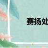賽揚處理器天梯圖（賽揚2 4）