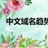 中文域名趨勢最新消息（中文域名的網站）