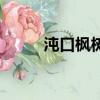 沌口楓樹一路規劃（沌口怎么讀）