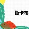 斯卡布羅集市原唱（sk十字繡）