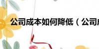 公司成本如何降低(公司成本如何核算)
