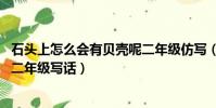 石頭上怎么會有貝殼呢二年級仿寫(石頭上怎么會有貝殼呢 二年級寫話)