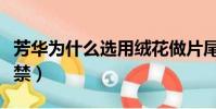 芳華為什么選用絨花做片尾曲(芳華為什么被禁)