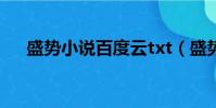 盛勢小說百度云txt(盛勢小說百度云)