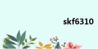 skf6310