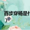 百步穿楊是什么電視劇（百步穿楊是什么生肖）