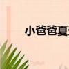 小爸爸夏天吃炸醬面（小爸爸簡介）