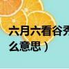 六月六看谷秀什么意思簡短（六月六看谷秀什么意思）
