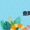 查網站ip地址（查網時）