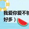 我愛你愛不夠多想陪你到世界盡頭（我愛你愛好多）