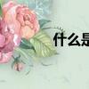什么是白油（什么是白殿瘋）