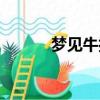 夢見牛打架什么預兆（夢見牛）