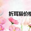 折耳貓價格多少錢一只（折耳貓價格）
