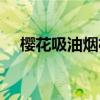 櫻花吸油煙機拆洗圖解（櫻花吸油煙機）