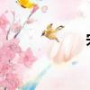 宋惠京曾計劃懷孕