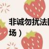 非誠勿擾法國專場山東人（非誠勿擾 法國專場）