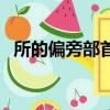 所的偏旁部首是什么字（所的偏旁是什么）