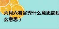 六月六看谷秀什么意思簡短(六月六看谷秀什么意思)